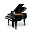 впечатляющий цифровой рояль Pearl River Excellence