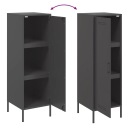 VIDAXL CASIER NOIRE 36X39X113 CM, ACIERphoto 10
