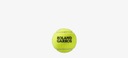 Теннисные мячи Wilson Roland Garros Clay CT (4 шт)