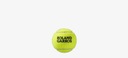 Tenisové loptičky Wilson Roland Garros Clay CT (4 ks) Model 8585816