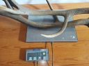Трофеї Poroże 3,8 Kg