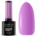 Клареса гибридный лак для ногтей Тропический побег 4 фиолетовая орхидея 5G