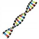 Подходит для детской модели ДНК с двойной спиралью