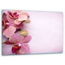 ПОДСТАВКА ДЛЯ РАЗДЕЛОЧНОЙ ДОСКИ 7в1 40х30 ЦВЕТЫ ЗАКАЛЕННОЕ СТЕКЛО