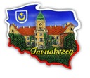 Тарнобжегский контурный магнит
