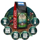 КОФЕ В ЗЕРНАХ 1 КГ OLOMEGA NICARAGUA ARABICA 100% СВЕЖЕОБЖАРЕННЫЕ - BLUE ORCA