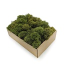 Финский мох 50г Olive Green