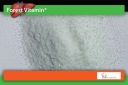 Вітамінно-Мінеральні Препарати Forest Vitamin 100G