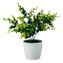 ЭВКАЛИПТ В ГОРШКЕ ЦВЕТ В ГОРШКАХ ИСКУССТВЕННЫЕ ЦВЕТЫ ДЛЯ ОФИСА ЛИСТЬЯ