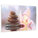 Кухонная панель с графикой 80x60 + Бесплатно