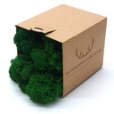 Мох Финский REINDEER CLEANED Декоративный мох 50 грамм