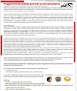 Лента противоскользящая прозрачная 50мм 6м бесцветная лестничная перетяжка
