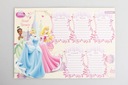 ПЛАН УРОКА С МАГНИТОМ НА ХОЛОДИЛЬНИК DISNEY BOARDS