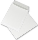 Стандартный конверт NC E4 с полосой HK 50шт белый x2