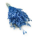 Лепника противна - (Силен) - синий