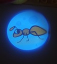 Projektor na kreslenie Kačička s tabuľou Dominujúca farba odtiene zlatej a žltej