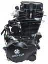 MOTEUR MORETTI VERTICAL 167FMM, 250CC 4T, 5-BIEGOWY MANUEL NOIRphoto 11