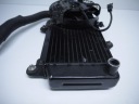 YAMAHA XTZ 660 TENERE RADIATOR WATER FAN IN GOOD CONDITION UCC12  photo 4
