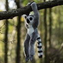 Plyšový závesný maskot LEMUR ANIMIGOS NATURE Značka Tobar