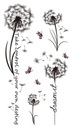 Водная татуировка с наклейкой «Одуванчик» Бабочки одуванчика СУБТИТРЫ TM195