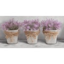 Декор Макс 30 Х 60 Керамика Цветная