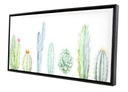 КАРТИНА В РАМКЕ ПРИРОДА КАКТУС 62х32см ХОЛСТ