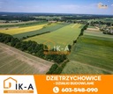 Działka, Dzietrzychowice, 1400 m² Typ działki budowlana