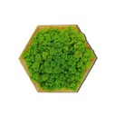 СТЕКЛЯННАЯ КАРТИНА ИЗ МХА ДЛЯ СТЕНЫ ОЛЕНЬ