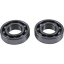 HOT RODS BBK0028 Подшипник балансирного вала