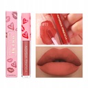 12 farieb Single Matte Velvet Lip Glaze Balenie s aplikátorom