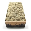 Финский мох 500г нетто, натуральный