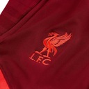 Spodnie Nike Liverpool FC Strike w rozmiarze XL EAN (GTIN) 194954758695