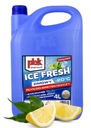 PLAK ICE FRESH ЗИМНЯЯ ОМЫВАЮЩАЯ ЖИДКОСТЬ -20C 4л