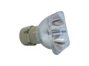 Запасная лампочка для OPTOMA SP.8BB01GC01 BL-FP200G