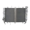 RADIATOR - 4 RIDE RAD-578  photo 1