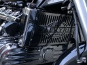 HONDA VALKIRYE GL 1500 F6C ЗАХИСТ РАДІАТОРА (УЗОР NIESTANDARDOWY, NAJLEPSZE ЛОГОТИП CENY)  фото 5