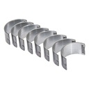 НОМИНАЛЬНЫЕ ШАТУННЫЕ ПОДШИПНИКИ C-360 AGTECH