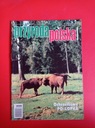 Przyroda Polska нет. 11/2003, ноябрь 2003 г.