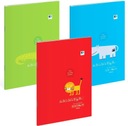 3 блокнота формата А4 в разноцветной линейке, 32 карточки. ББ Детский МИКС
