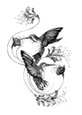 Сильная временная татуировка, водные цветы, веточки птиц, колибри, как эскизTM173