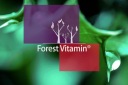 Суглоби, Кістки, М'язи Forest Vitamin 500Mg
