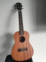 Профессиональная деревянная Гавайская концертная гавайская гитара