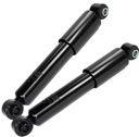 Амортизаторы x2 ЗАДНИЕ для PEUGEOT 206 206+ 206 SW