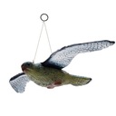 ОТПУПЫВАТЕЛЬ СОКОЛ-ЯСКОЛОВ ПТИЦ Скворцы ГОЛУБИ