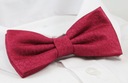 Красный галстук-бабочка с нагрудным платком - Alties