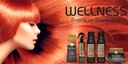 WELLNESS PREMIUM PRODUCTS Wellplex Maska pre farbené vlasy 500ml Účinok regeneráciu a hydratáciu