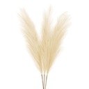 ORNA Umelá Pampas Grass Beige, XL, 114cm, 3ks