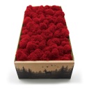 Финский мох 500г сетка, красный