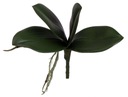 ИСКУССТВЕННЫЕ ЛИСТЬЯ ОРХИДЕИ