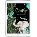 Чакры. Небольшое руководство